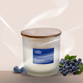 Blueberry Scented Candle - Pet Odor Eliminator
