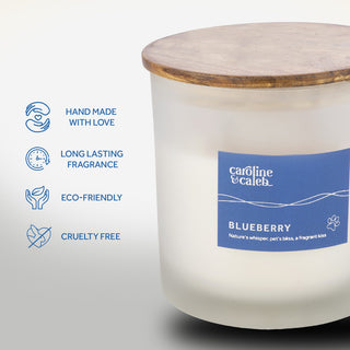 Blueberry Scented Candle - Pet Odor Eliminator