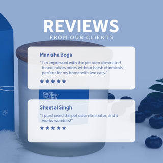 Blueberry Scented Candle - Pet Odor Eliminator
